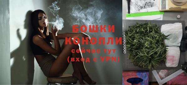 стафф Богородск