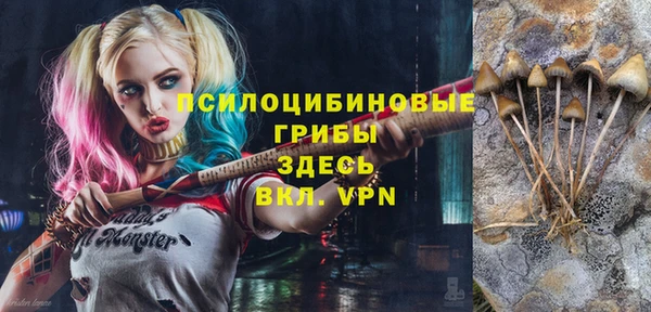 стафф Богородск