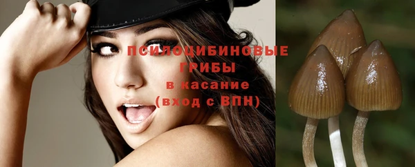 первитин Богданович