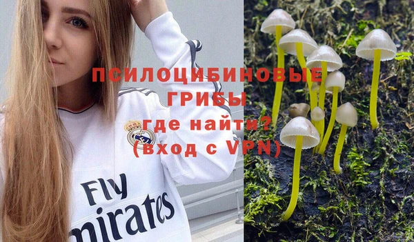 стафф Богородск