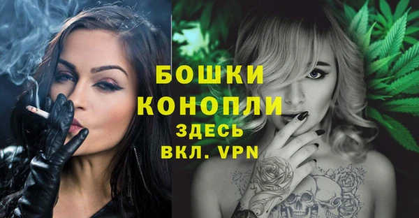стафф Богородск