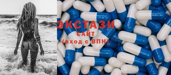 первитин Богданович