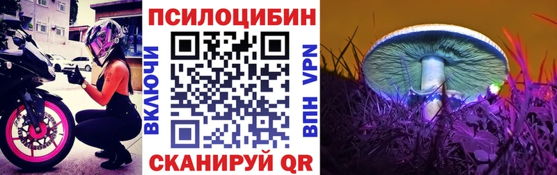 Псилоцибиновые грибы Magic Shrooms  Динская 